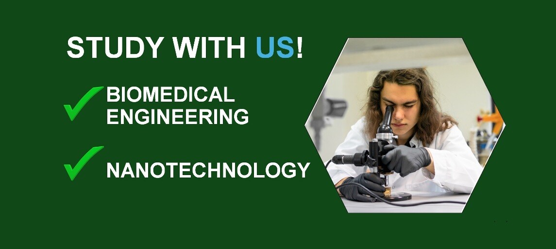 Study at the University of Zielona Góra