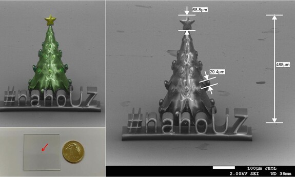 Najmniejsza choinka na UZ