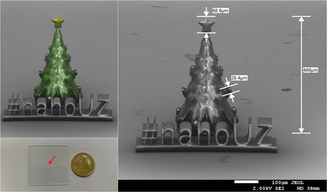 Najmniejsza choinka na UZ